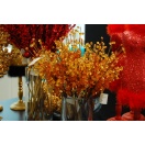 NF ASIAN Dekoratiivne oks pärlidega GOLD